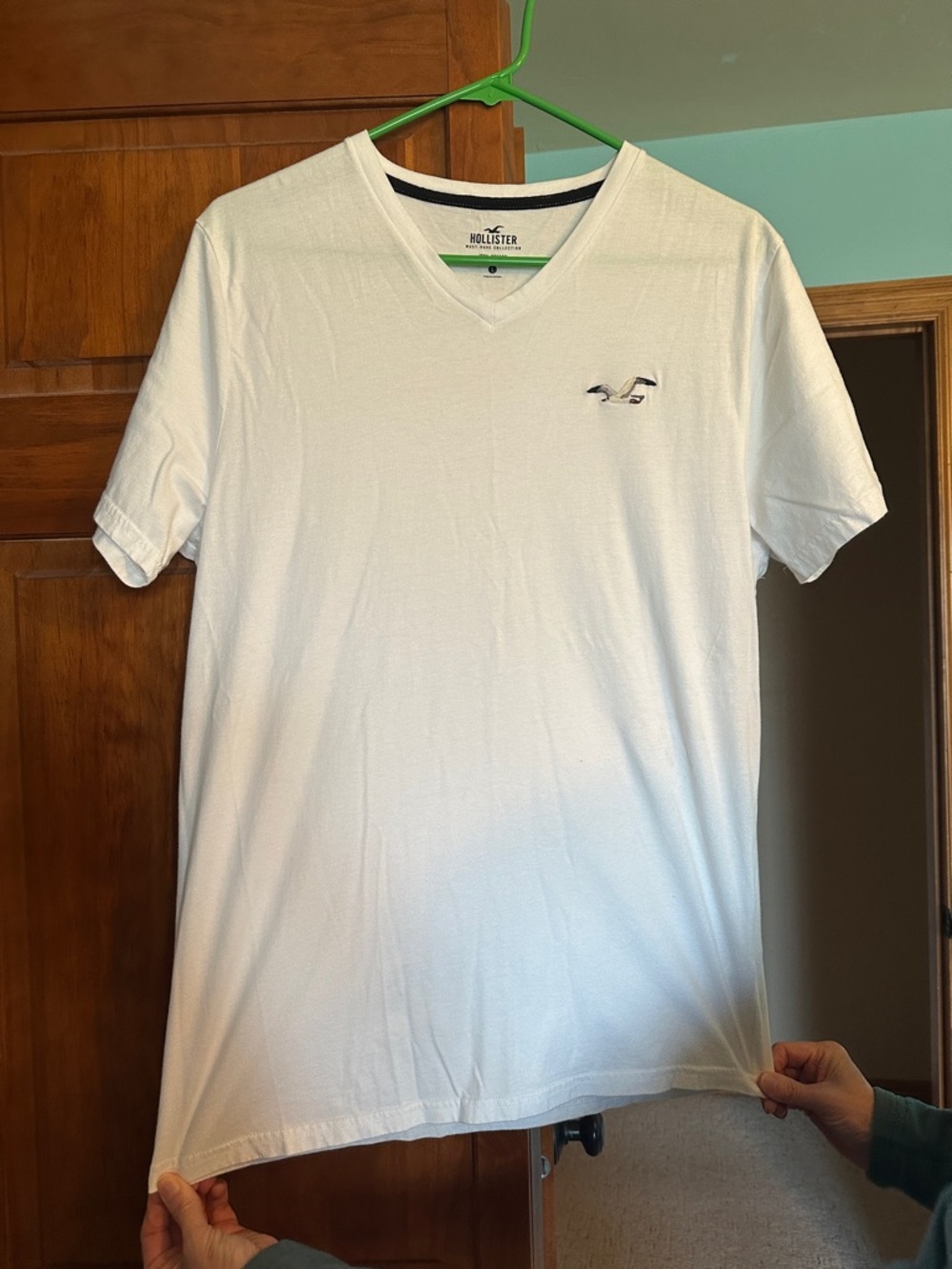 Hollister Seagull Tee